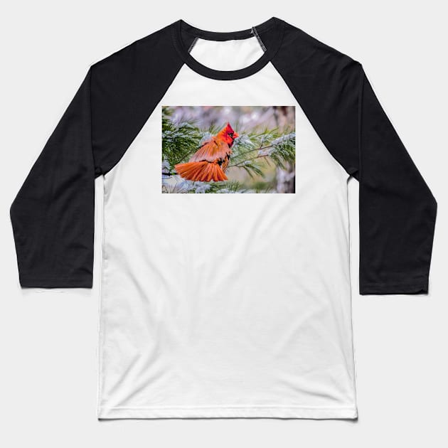 Christmas Cardinal Baseball T-Shirt by Tarrby